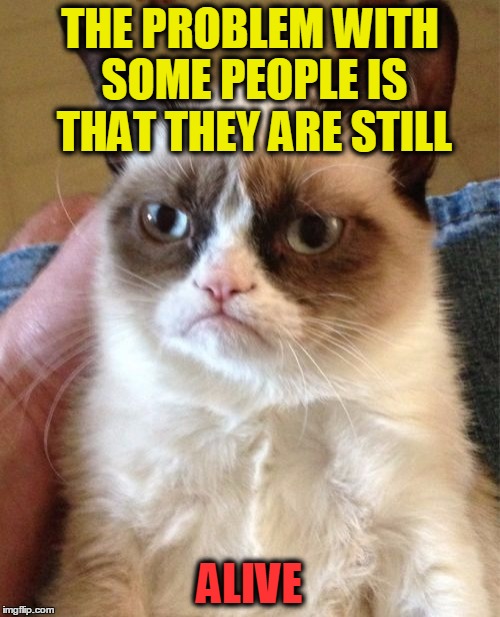 Grumpy Cat Meme | THE PROBLEM WITH SOME PEOPLE IS THAT THEY ARE STILL ALIVE | image tagged in memes,grumpy cat | made w/ Imgflip meme maker