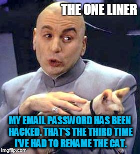 Dr Evil Cat | THE ONE LINER; MY EMAIL PASSWORD HAS BEEN HACKED. THAT'S THE THIRD TIME I'VE HAD TO RENAME THE CAT. | image tagged in dr evil cat | made w/ Imgflip meme maker