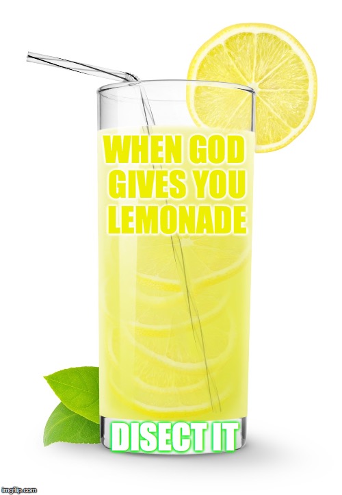 YASHAYAHU(Isaiah) 26:3
3 You will keep in perfect peace those whose minds are steadfast, because they trust in YOU. | WHEN GOD GIVES YOU LEMONADE; DISECT IT | image tagged in memes,yahuah,yahusha,yashayahuisaiah 263 | made w/ Imgflip meme maker