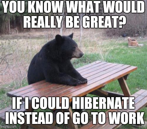 YOU KNOW WHAT WOULD REALLY BE GREAT? IF I COULD HIBERNATE INSTEAD OF GO TO WORK | made w/ Imgflip meme maker