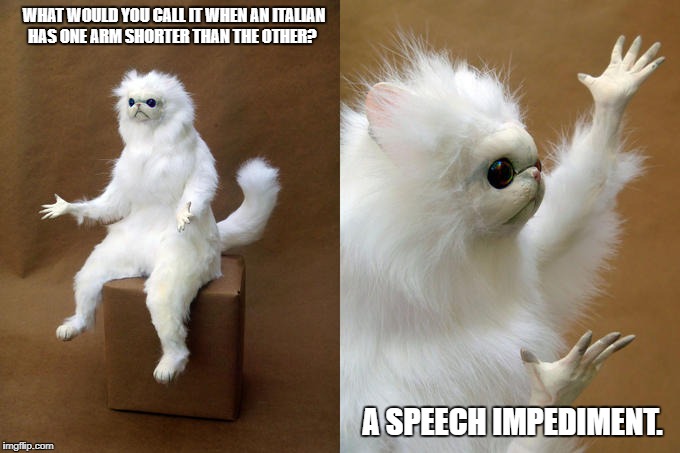 Persian Cat Room Guardian Meme | WHAT WOULD YOU CALL IT WHEN AN ITALIAN HAS ONE ARM SHORTER THAN THE OTHER? A SPEECH IMPEDIMENT. | image tagged in memes,persian cat room guardian | made w/ Imgflip meme maker
