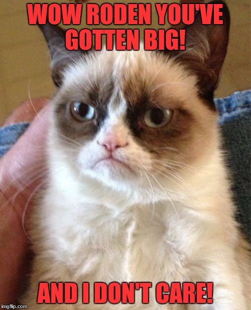 Grumpy Cat Meme | WOW RODEN YOU'VE GOTTEN BIG! AND I DON'T CARE! | image tagged in memes,grumpy cat | made w/ Imgflip meme maker