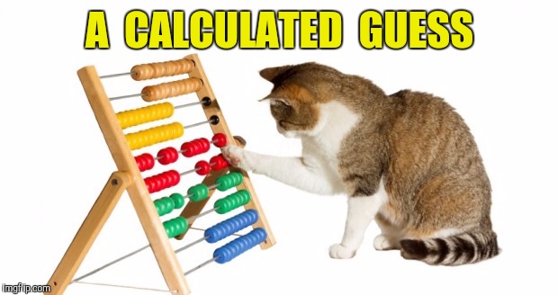 A  CALCULATED  GUESS | made w/ Imgflip meme maker