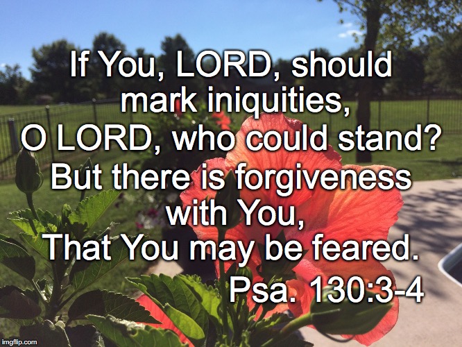 If You, LORD, should mark iniquities, O LORD, who could stand? But there is forgiveness with You, That You may be feared. Psa. 130:3-4 | image tagged in forgiveness | made w/ Imgflip meme maker