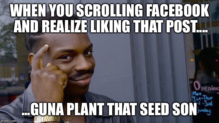 WHEN YOU SCROLLING FACEBOOK AND REALIZE LIKING THAT POST.... ...GUNA PLANT THAT SEED SON | image tagged in genius | made w/ Imgflip meme maker