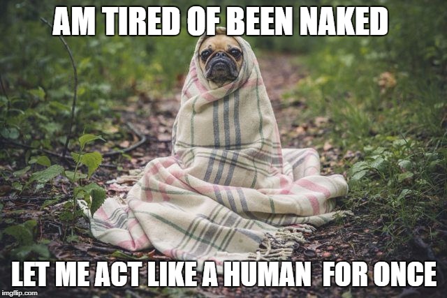 AM TIRED OF BEEN NAKED; LET ME ACT LIKE A HUMAN  FOR ONCE | made w/ Imgflip meme maker