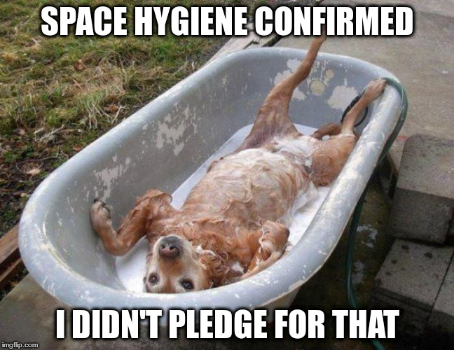 bath dog | SPACE HYGIENE CONFIRMED; I DIDN'T PLEDGE FOR THAT | image tagged in bath dog | made w/ Imgflip meme maker