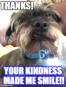 Thanks | THANKS! YOUR KINDNESS MADE ME SMILE!! | image tagged in rudy smiles,kindness,thank you,smile,cute dog,ugly dog | made w/ Imgflip meme maker