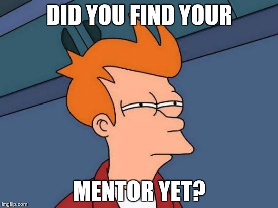 Futurama Fry Meme | DID YOU FIND YOUR; MENTOR YET? | image tagged in memes,futurama fry | made w/ Imgflip meme maker