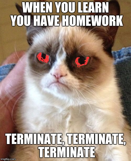 Grumpy Cat Meme | WHEN YOU LEARN YOU HAVE HOMEWORK; TERMINATE, TERMINATE, TERMINATE | image tagged in memes,grumpy cat | made w/ Imgflip meme maker