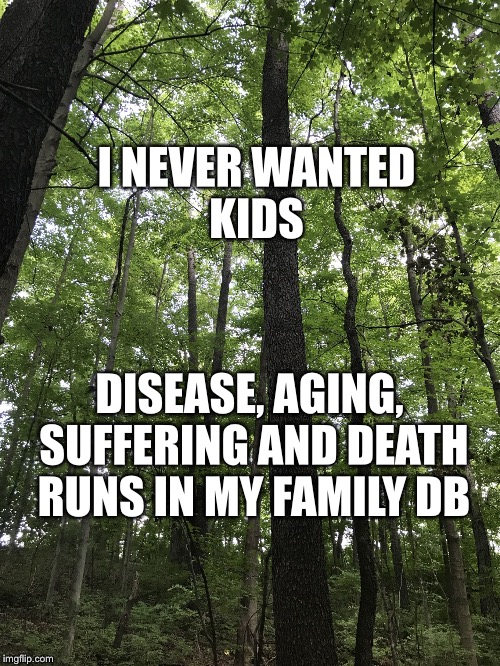 I NEVER WANTED KIDS; DISEASE, AGING, SUFFERING AND DEATH RUNS IN MY FAMILY DB | image tagged in reproduction is harm antinatslism death | made w/ Imgflip meme maker