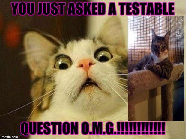 Scared Cat Meme | YOU JUST ASKED A TESTABLE; QUESTION O.M.G.!!!!!!!!!!!! | image tagged in memes,scared cat | made w/ Imgflip meme maker