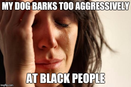 First World Problems | MY DOG BARKS TOO AGGRESSIVELY; AT BLACK PEOPLE | image tagged in memes,first world problems | made w/ Imgflip meme maker