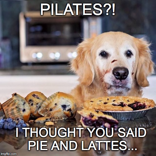 Oh, gee... | PILATES?! I THOUGHT YOU SAID PIE AND LATTES... | image tagged in janey mack meme,flirty meme,funny,dog and pie,pilates,i thought you said | made w/ Imgflip meme maker