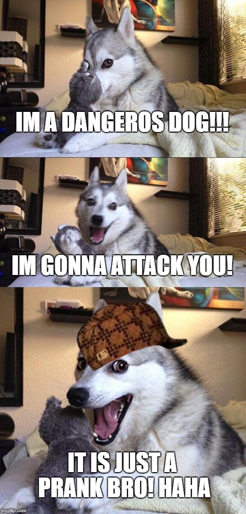 Bad Pun Dog | IM A DANGEROS DOG!!! IM GONNA ATTACK YOU! IT IS JUST A PRANK BRO! HAHA | image tagged in memes,bad pun dog,scumbag | made w/ Imgflip meme maker