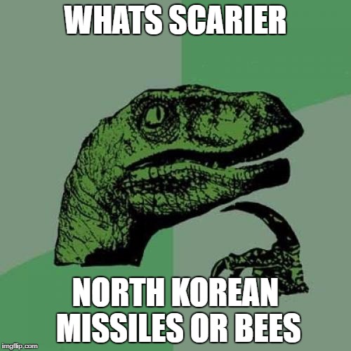 Philosoraptor | WHATS SCARIER; NORTH KOREAN MISSILES OR BEES | image tagged in memes,philosoraptor | made w/ Imgflip meme maker
