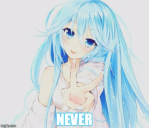 NEVER | made w/ Imgflip meme maker