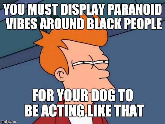 Futurama Fry Meme | YOU MUST DISPLAY PARANOID VIBES AROUND BLACK PEOPLE FOR YOUR DOG TO BE ACTING LIKE THAT | image tagged in memes,futurama fry | made w/ Imgflip meme maker