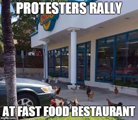Protest at fast food restaurant | PROTESTERS RALLY; AT FAST FOOD RESTAURANT | image tagged in protesters,protest | made w/ Imgflip meme maker