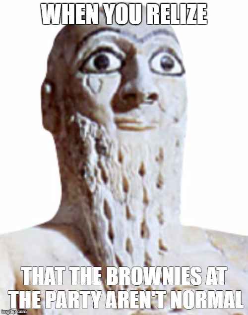 those darn brownies | WHEN YOU RELIZE; THAT THE BROWNIES AT THE PARTY AREN'T NORMAL | image tagged in when you realize,memes | made w/ Imgflip meme maker