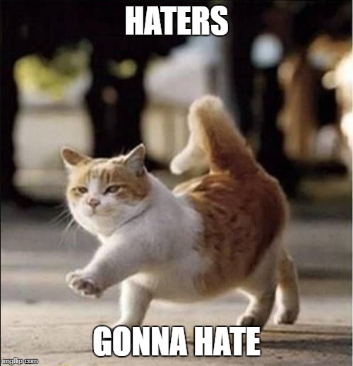 HATERS; GONNA HATE | made w/ Imgflip meme maker