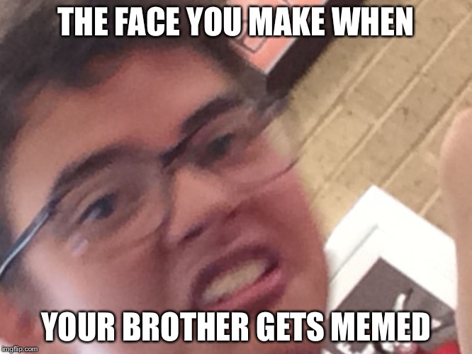 The face you make returns | THE FACE YOU MAKE WHEN; YOUR BROTHER GETS MEMED | image tagged in the face you make returns | made w/ Imgflip meme maker