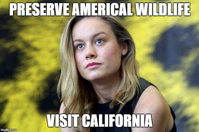 PRESERVE AMERICAL WILDLIFE; VISIT CALIFORNIA | image tagged in hollywood | made w/ Imgflip meme maker