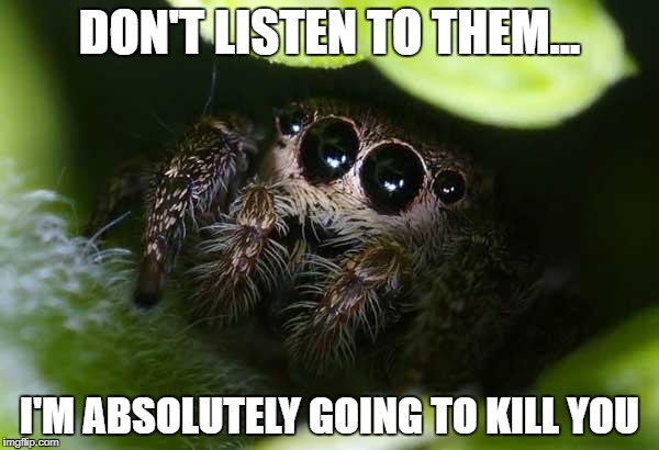 missunder stoood spider | DON'T LISTEN TO THEM... I'M ABSOLUTELY GOING TO KILL YOU | image tagged in missunder stoood spider | made w/ Imgflip meme maker