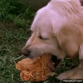 Dog 2025 puking spaghetti