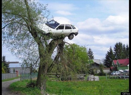 car tree fail Blank Meme Template