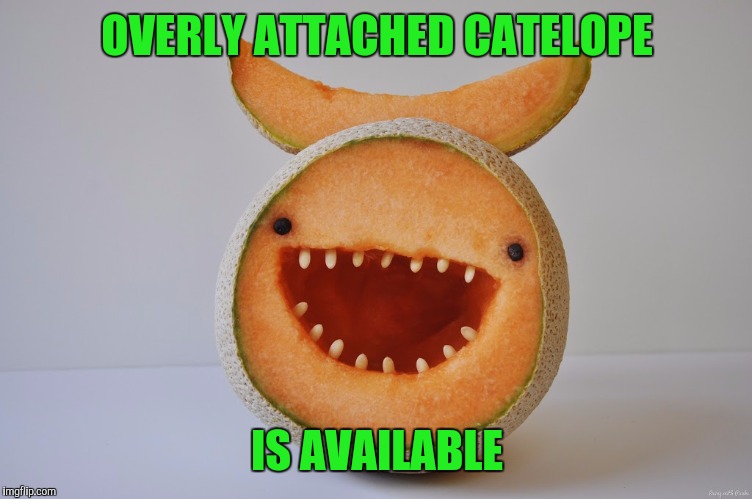 OVERLY ATTACHED CATELOPE IS AVAILABLE | made w/ Imgflip meme maker