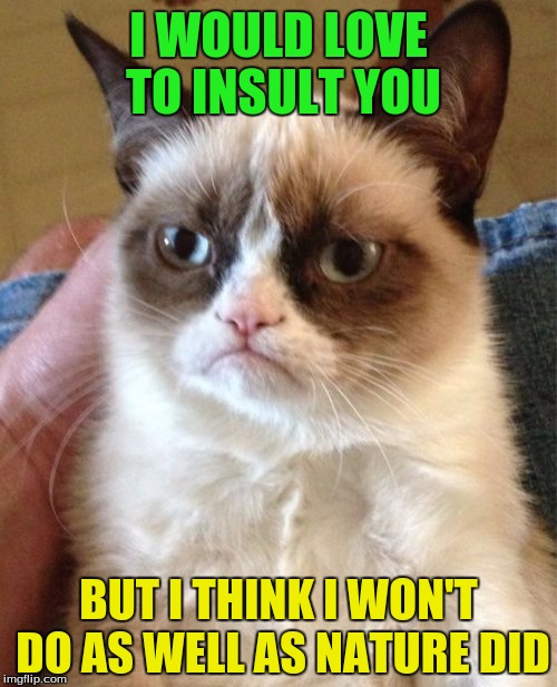 Grumpy Cat Meme | I WOULD LOVE TO INSULT YOU; BUT I THINK I WON'T DO AS WELL AS NATURE DID | image tagged in memes,grumpy cat | made w/ Imgflip meme maker