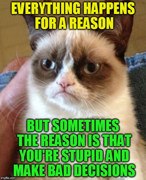 Grumpy Cat | EVERYTHING HAPPENS FOR A REASON; BUT SOMETIMES THE REASON IS THAT YOU'RE STUPID AND MAKE BAD DECISIONS | image tagged in memes,grumpy cat | made w/ Imgflip meme maker