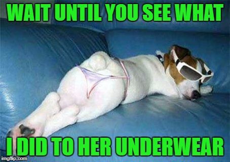 WAIT UNTIL YOU SEE WHAT I DID TO HER UNDERWEAR | made w/ Imgflip meme maker