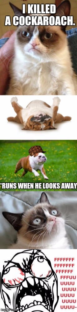 Grumpy Cat: Dogs be like | I KILLED A COCKAROACH. *RUNS WHEN HE LOOKS AWAY | image tagged in grumpy cat,dogs are like cockaroaches,playing dead,fffffffuuuuuuuuuuuu | made w/ Imgflip meme maker