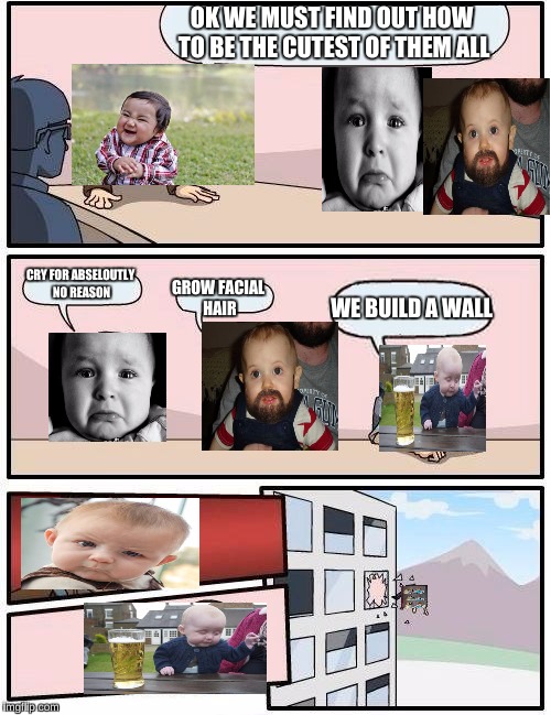 Boardroom Meeting Suggestion | OK WE MUST FIND OUT HOW TO BE THE CUTEST OF THEM ALL; CRY FOR ABSELOUTLY NO REASON; WE BUILD A WALL; GROW FACIAL HAIR | image tagged in memes,boardroom meeting suggestion | made w/ Imgflip meme maker