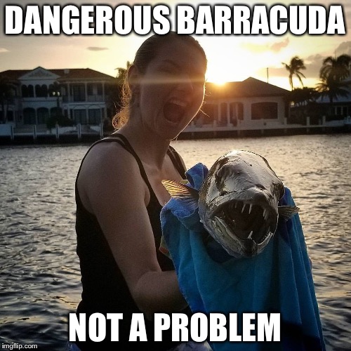 And the fish is dangerous too | DANGEROUS BARRACUDA; NOT A PROBLEM | image tagged in barracuda,fishing,pretty girl,memes | made w/ Imgflip meme maker