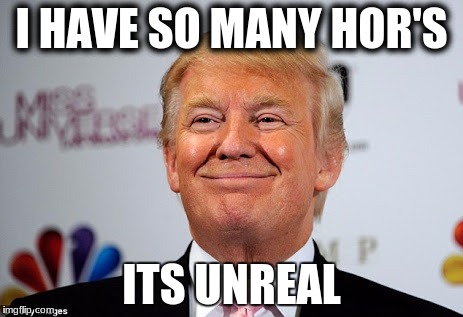 Donald trump approves | I HAVE SO MANY HOR'S; ITS UNREAL | image tagged in donald trump approves | made w/ Imgflip meme maker