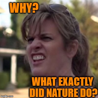 seriously? | WHY? WHAT EXACTLY DID NATURE DO? | image tagged in seriously | made w/ Imgflip meme maker