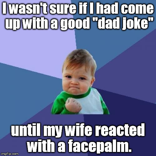 Success Joke | I wasn't sure if I had come up with a good "dad joke"; until my wife reacted with a facepalm. | image tagged in memes,success kid,the epic facepalm | made w/ Imgflip meme maker