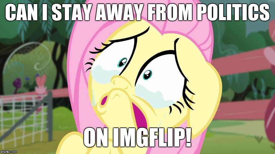 PLEASE! | CAN I STAY AWAY FROM POLITICS; ON IMGFLIP! | image tagged in crying fluttershy,memes,my little pony,politics | made w/ Imgflip meme maker