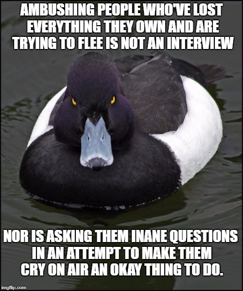 hi res angry advice mallard | AMBUSHING PEOPLE WHO'VE LOST EVERYTHING THEY OWN AND ARE TRYING TO FLEE IS NOT AN INTERVIEW; NOR IS ASKING THEM INANE QUESTIONS IN AN ATTEMPT TO MAKE THEM CRY ON AIR AN OKAY THING TO DO. | image tagged in hi res angry advice mallard,AdviceAnimals | made w/ Imgflip meme maker