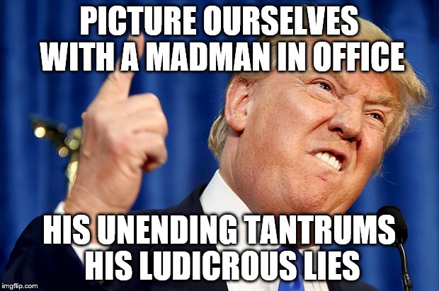 Donald Trump | PICTURE OURSELVES WITH A MADMAN IN OFFICE; HIS UNENDING TANTRUMS HIS LUDICROUS LIES | image tagged in donald trump | made w/ Imgflip meme maker