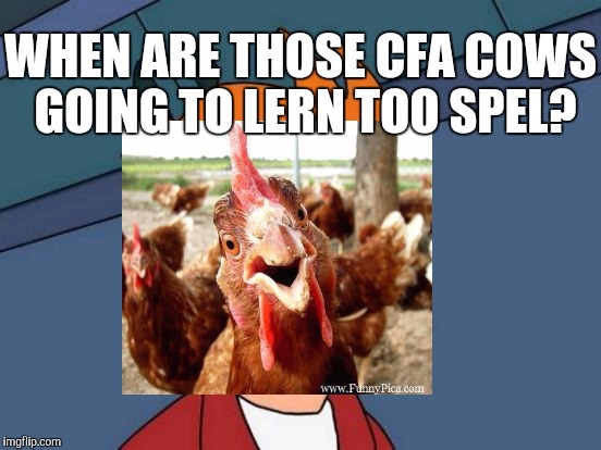 WHEN ARE THOSE CFA COWS GOING TO LERN TOO SPEL? | made w/ Imgflip meme maker