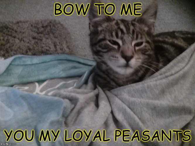 BOW TO ME; YOU MY LOYAL PEASANTS | image tagged in sleepy danza | made w/ Imgflip meme maker