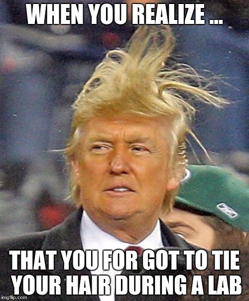 Donald Trumph hair | WHEN YOU REALIZE ... THAT YOU FOR GOT TO TIE YOUR HAIR DURING A LAB | image tagged in donald trumph hair | made w/ Imgflip meme maker