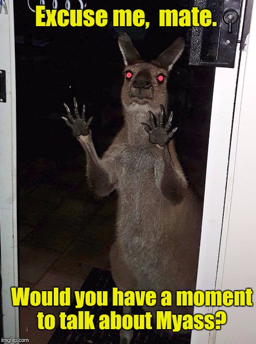 Kangaroo | Excuse me,  mate. Would you have a moment to talk about Myass? | image tagged in kangaroo | made w/ Imgflip meme maker