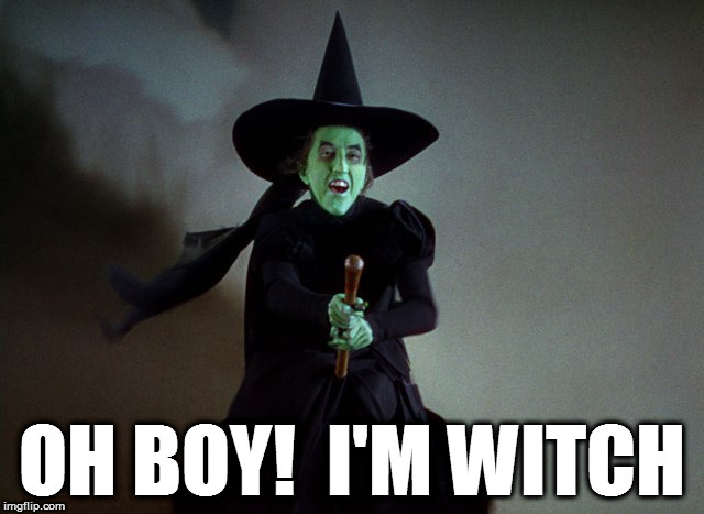Rich Witch | OH BOY!  I'M WITCH | image tagged in wicked witch,the wizard of oz,homepage | made w/ Imgflip meme maker
