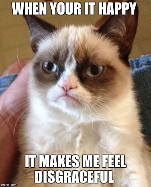 comment if you want more grumpy cat memes because i will be focusing on that and please comment what type of grumpy cat memes. | WHEN YOUR IT HAPPY; IT MAKES ME FEEL DISGRACEFUL | image tagged in memes,grumpy cat | made w/ Imgflip meme maker