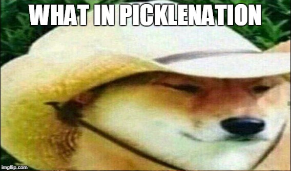 WHAT IN PICKLENATION | made w/ Imgflip meme maker